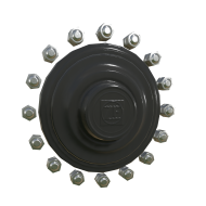 zf_n16x01