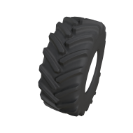 R30_axioBib