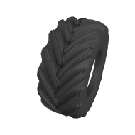 R38_cereXBib