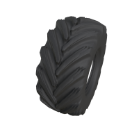 R38_cereXBib2