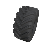 R26_megaXbib
